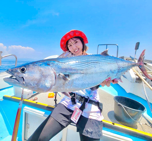 ハガツオの釣果