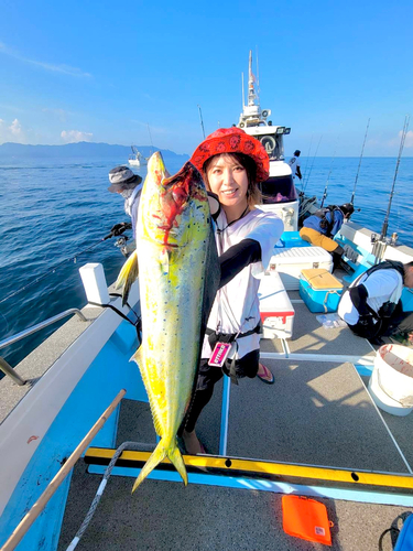 シイラの釣果