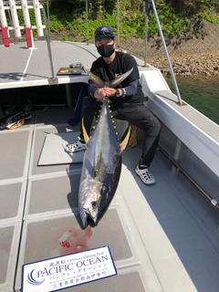 キハダマグロの釣果