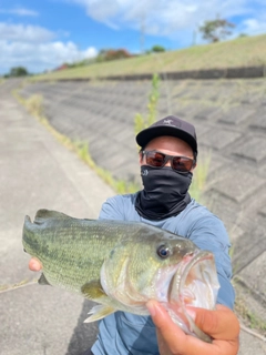 ブラックバスの釣果