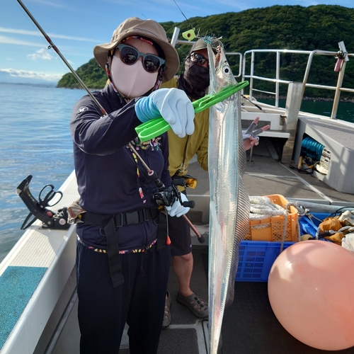 タチウオの釣果