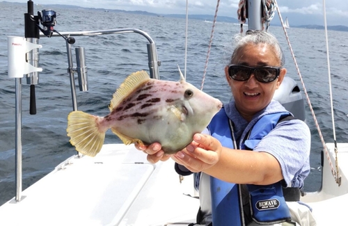 カワハギの釣果