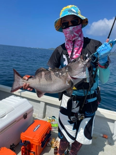 コクハンアラの釣果