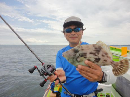 カワハギの釣果