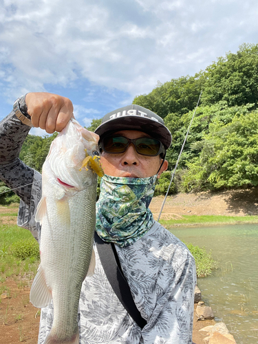 ブラックバスの釣果