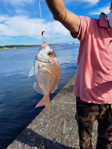 釣果