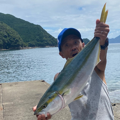 メジロの釣果