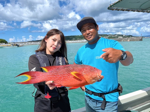 バラハタの釣果