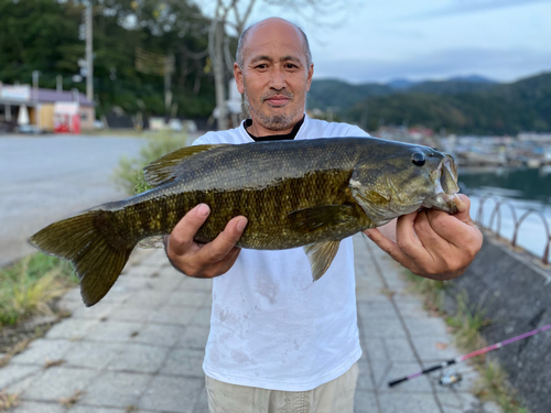 スモールマウスバスの釣果