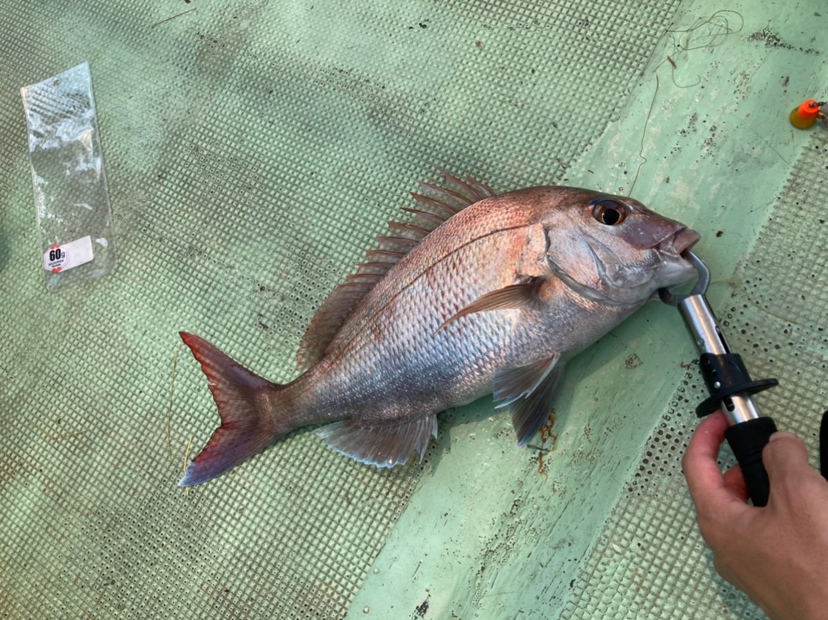 UGUGさんの釣果 3枚目の画像