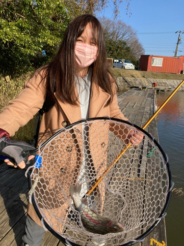 ニジマスの釣果