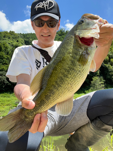 ブラックバスの釣果