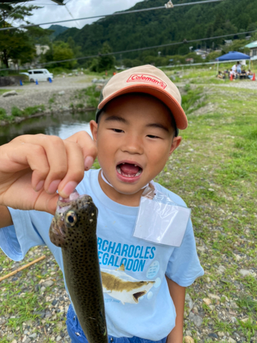 ニジマスの釣果