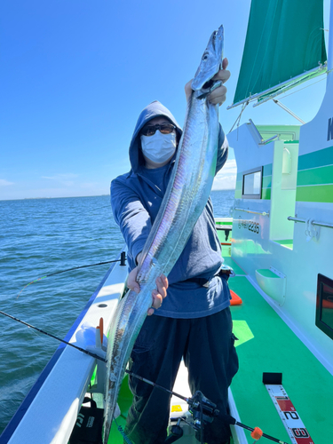 タチウオの釣果