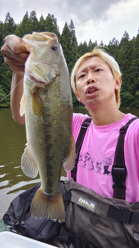 ブラックバスの釣果