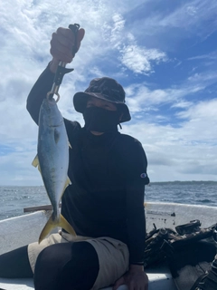 イナダの釣果