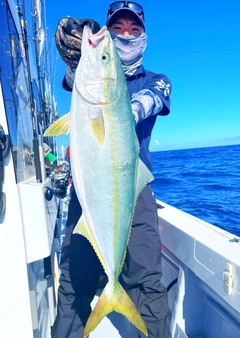 ワラサの釣果