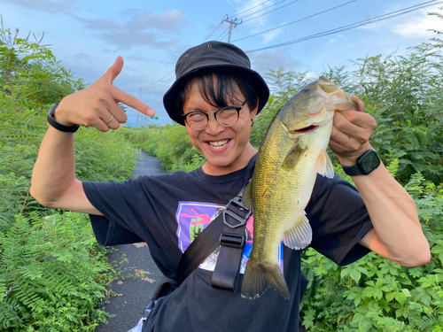 ブラックバスの釣果