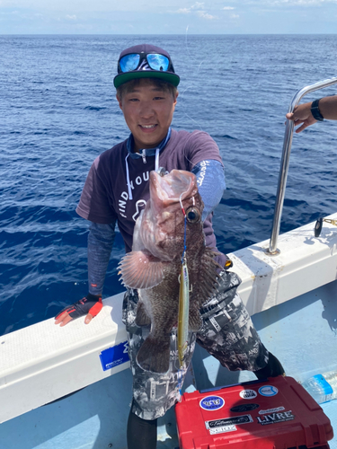 タヌキメバルの釣果