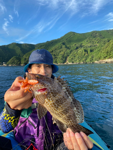 オオモンハタの釣果