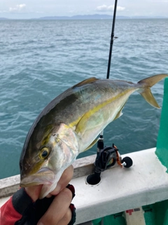 シオの釣果