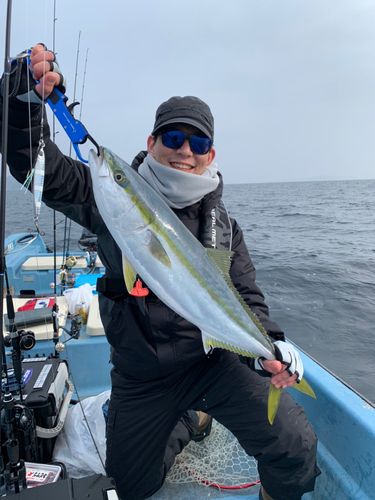 ヤズの釣果