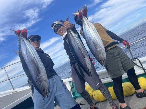 カツオの釣果