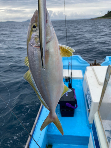 ネリゴの釣果