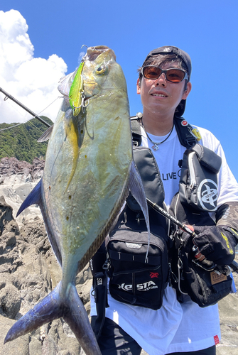 ナンヨウカイワリの釣果