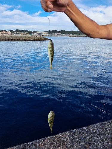 釣果