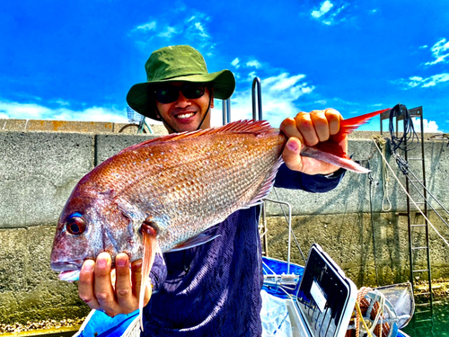 タイの釣果