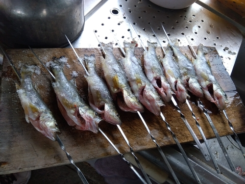 ブラックバスの釣果