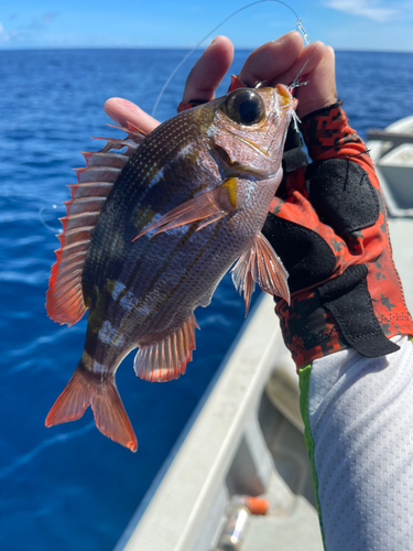 釣果