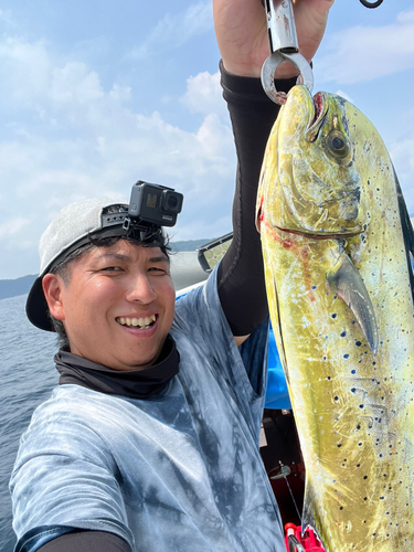 シイラの釣果