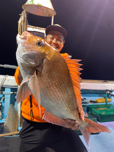 マダイの釣果