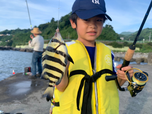 サンバソウの釣果