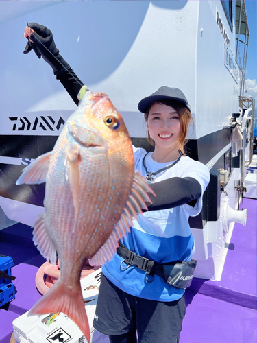 マダイの釣果