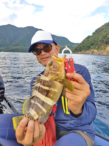 アオハタの釣果