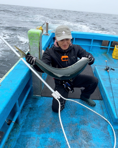 ブリの釣果