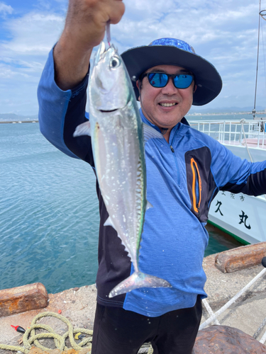 ソウダガツオの釣果