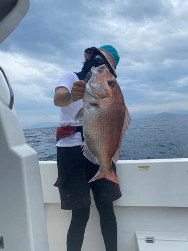 タイの釣果