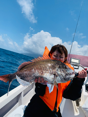 マダイの釣果