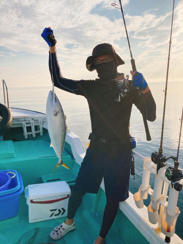 ハマチの釣果