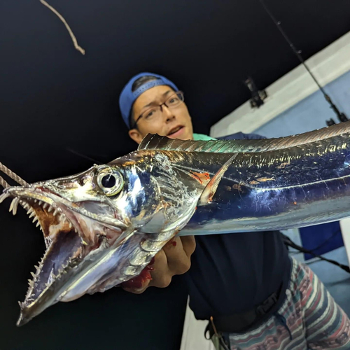 タチウオの釣果