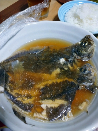 カレイの釣果