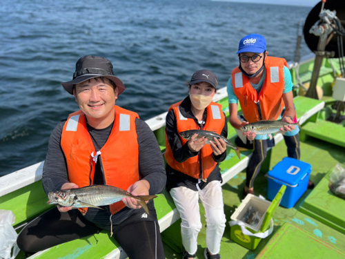 マアジの釣果