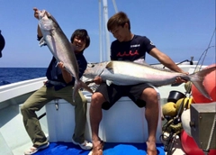 カンパチの釣果