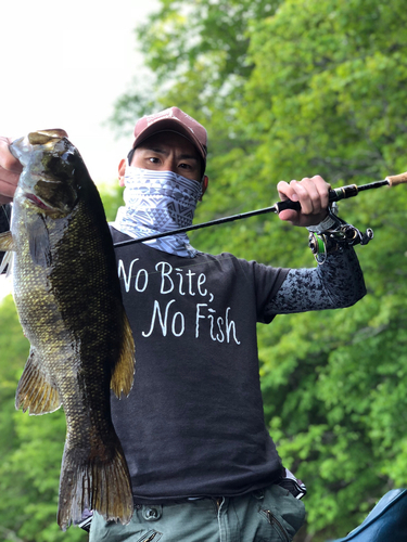 スモールマウスバスの釣果