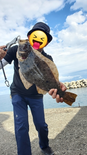 ヒラメの釣果