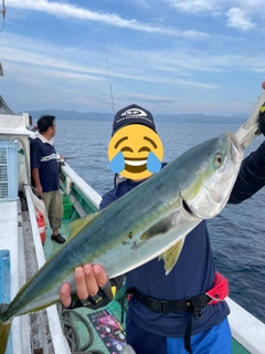 メジロの釣果